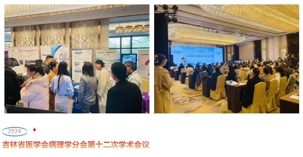 jxf吉祥坊·(中国区)官方网站