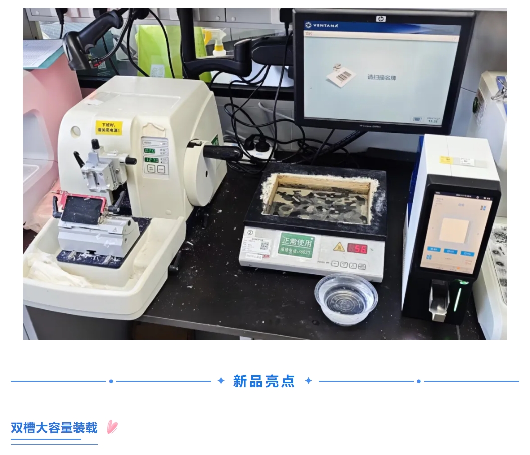 jxf吉祥坊·(中国区)官方网站